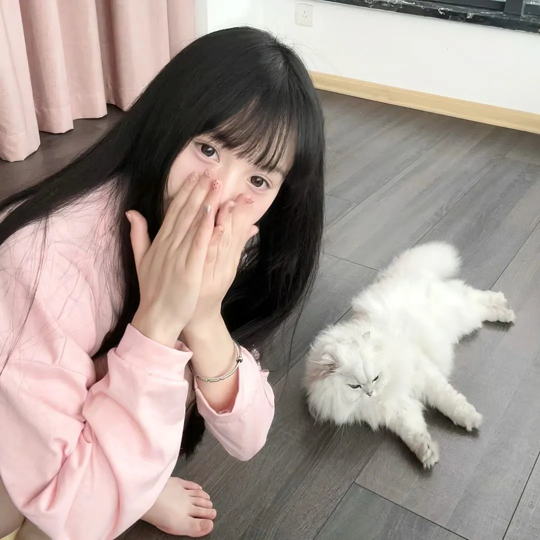 飞拳铁汉